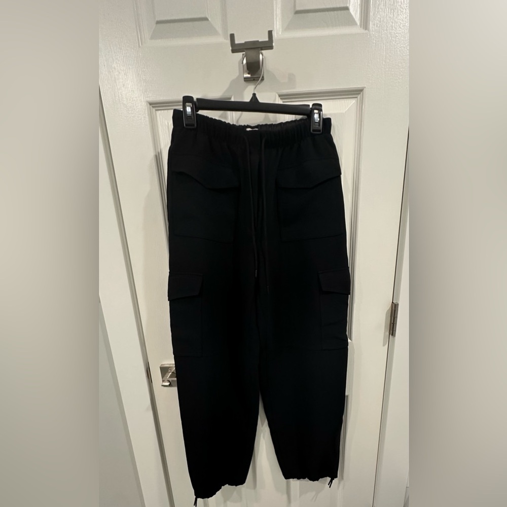 Aritzia Wilfred Mercy Cargo Pants